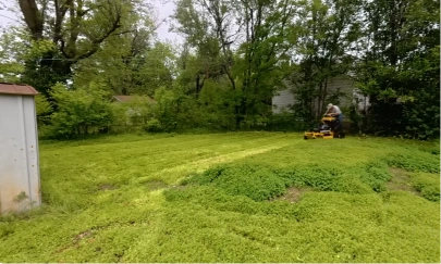 Rider mower cutting fresh stripes into a large overgrown backyard